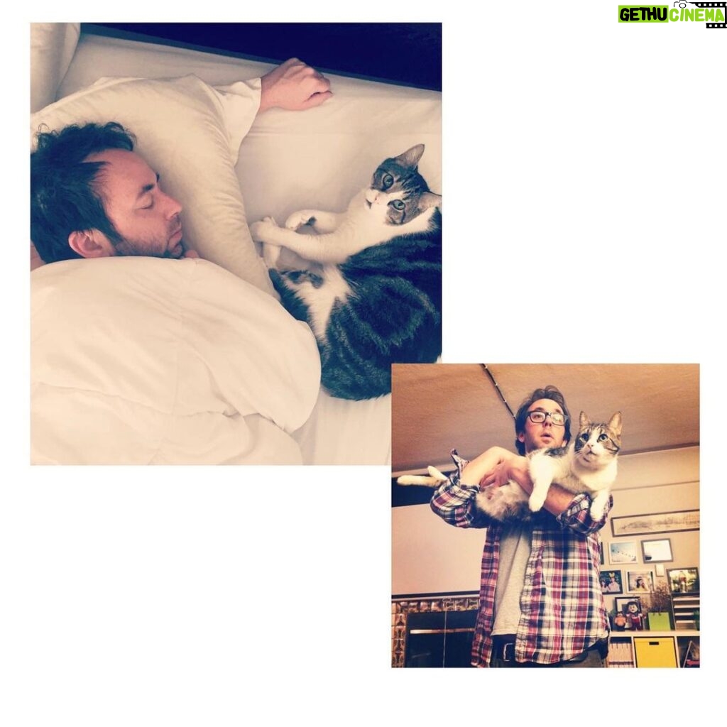 Noël Wells Instagram - just wanna get this out while I have my wits about me, but sadly today me and flinty had to put Mr. Feeny to sleep. To those who knew him, you know this is an end of a freaking era and I'm absolutely beside myself with sadness. 17 years. He was a cool fucking cat, who traversed many college adventures, apartments, houses, boyfriends, and eventually traveled 2000 miles to Los Angeles California where he settled underneath the Hollywood sign, calling Beachwood Canyon home. He was a soulmate and companion through many episodes of my youthful immaturity, but was very much loved and quite an honored and illustrious feline who would take walks around the neighborhood and played fetch. He made many brushes with death, but many more brushes with notoriety, landing himself in a viral zine (How to Talk To Your Cat About Gun Safety) being featured in a a published book (Cat Lady, curated by Leah Goren) and of course, he was the inspiration and basis for my first feature film "Mr. Roosevelt." We were lucky to be there with him in his final moments, and he was in my arms with his pretty white paws resting on my wrists like he used to when he was a lil one. Thank you so much Flint for being a good cat dad, and thank you Dave for everything. Thanks to all my friends who knew and got him. For just a fucking cat he was one of the very greats.