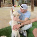 Noah Schnapp Instagram - Me and a baby lion🦁 Dubai Desert