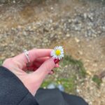 Olivia Rodrigo Instagram - these days🌼🌼🌼