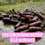 Pablo Mira Instagram - Des obus rouillés de 14-18 qui remontent à la surface, en Belgique, il n’en fallait pas moins pour inspirer Pablo 🪖