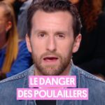 Pablo Mira Instagram - Avoir son propre poulailler, ça peut être dangereux selon Pablo 🐓