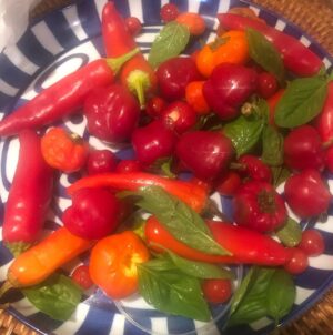 Pam Tillis Instagram - Yesterday was the 3rd anniversary of Mom’s passing.  A trip to the cemetery was discussed, but we ended up canning some jelly and chutney in her honor. What a special late summer gathering in the country with my sweet sisters and niece.  I have to have this kind of family time to keep me grounded in the swirl of craziness that’s my life.  Whomever with and wherever you find them, I wish these moments for you. ❤️ #southerngals #downhome