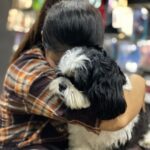 Parveen Instagram - This is not whiskey(my boy), He’s Ozzie i was met him in grooming parlour i loved his naughtiness and shyness he’s ditto of my whiskey🖤