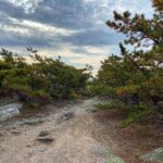 Patrice Godin Instagram - Retour sur la journée d’hier. Dorr Mountain (2X) suivi de Sand Beach et Ocean Path. Mount Desert Island et Acadia sont un sérieux coup de cœur. Certainement un classique d’automne en devenir ⛰️🌊🙏🏻 Bar Harbor and Acadia, Maine