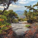 Patrice Godin Instagram - Retour sur la journée d’hier. Dorr Mountain (2X) suivi de Sand Beach et Ocean Path. Mount Desert Island et Acadia sont un sérieux coup de cœur. Certainement un classique d’automne en devenir ⛰️🌊🙏🏻 Bar Harbor and Acadia, Maine