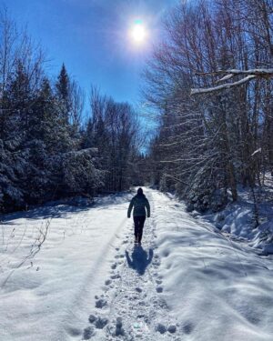 Patrice Godin Instagram - Balade dans les bois