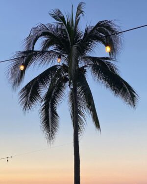 Penny Lane Instagram - 🏞 🇲🇽 Hola from the Jungle. 🌅🌺