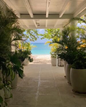 Penny Lane Instagram - Tropical crispification #nowness