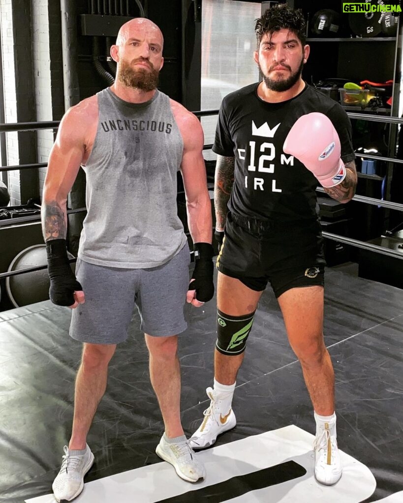 Peter Queally Instagram - Hadn’t sparred @dillondanis in ages and honestly was just gassing him up about the Jake Paul fight the past few months because he is my friend. This is exactly what you should be doing by the way, if your friends aren’t gassing you up every chance they get then they aren’t your friends. But anyway, after what I witnessed from him today, I have now seen enough empirical evidence to say he beats Jake in a boxing match ✊🏼 Set it up!!