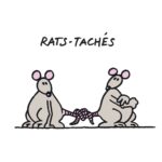Philippe Geluck Instagram - Pour les fidèles qui nous suivent chaque semaine sur cette page, le mois dernier nous vous présentions une saga de RAT-... qui vous a d'ailleurs fortement inspirée en commentaire. Comme vous n'êtes pas rat-ssasié, la liste continue.