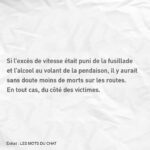 Philippe Geluck Instagram - Extrait du livre Les Mots du Chat. Une citation du Chat au nom de tous les chats partis trop tôt !