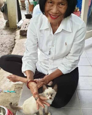 Piya Sawetpikul Instagram - 🙏โปรดเมตตาน้องด้วยนะคะ
พี่จิ๊ อัจฉราพรรณ ฝากข่าวมาคะ 🙏น้องหายไปหลายวันแล้วค่ะ  แมวหาย!! ชื่อ รวยจัง
อายุ 3 เดือน เพศเมีย
ฉีดวัคซีนแล้ว ขนสีขาว
มีแต้มจุดสีน้ำตาล
หางยาว
พบเจอโทรแจ้งเจี๊ยบ
065-594-9294
มีสินน้ำใจแก่ผู้พบเห็น
แจ้งจนพบตัวน้อง
5,000 บาท 
จุดที่น้องหายไป
25 ซอยสิทธิชัย
ถนนกรุงเทพ-นนทบุรี
แขวงวงศ์สว่าง
เขตบางซื่อ
กทม.10800 ถ้าเจอกรุณาเเจ้งที่ 🙏ใครพบเห็น รบกวนด้วยนะค่ะ🙏❤️