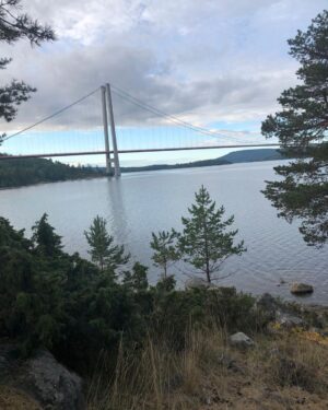 Plura Jonsson Instagram - Morgon vid höga kusten