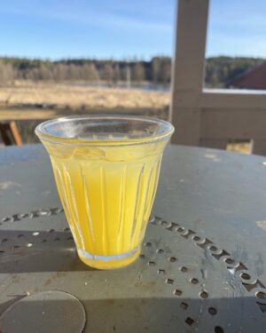 Plura Jonsson Instagram - Tjos is heat we in sweden call screwdriver, eller min fru har rest till Mölle