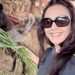 Preity Zinta Instagram - What an amazing trip this has been ❤️❤️ Amazing people, amazing food, amazing animals😂 …. Amazing Peru 🇵🇪💕🤩 A big thank you to my amazing hubby for planning this surprise trip for me. I love you 😍 #pztravel #AmazingPeru #Peru #Ting Cusco, Peru - South America