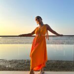 Priyamvada Kant Instagram - Golden sunsets 🍊 . .