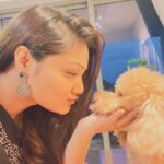 Priyanka Nalkari Instagram - #christmasattire #pet #love #littlesanta #cutewe #smiles #positivity #festivemood #selfietime #xmastree #poodle #santa #lastmonthoftheyear #december #instamood #malaysia #kl