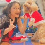 Priyanka Nalkari Instagram - #christmasattire #pet #love #littlesanta #cutewe #smiles #positivity #festivemood #selfietime #xmastree #poodle #santa #lastmonthoftheyear #december #instamood #malaysia #kl
