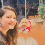 Priyanka Nalkari Instagram - #christmasattire #pet #love #littlesanta #cutewe #smiles #positivity #festivemood #selfietime #xmastree #poodle #santa #lastmonthoftheyear #december #instamood #malaysia #kl