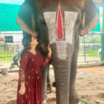 Priyanka Nalkari Instagram - #babycuttingsingamalai #elephantlove #mylovetowardselephant #temple #manargudi #positivevibes #tamilnadu #happyme #sengamalam🐘 Outfit @srisai_13 ❤️