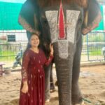 Priyanka Nalkari Instagram - #babycuttingsingamalai #elephantlove #mylovetowardselephant #temple #manargudi #positivevibes #tamilnadu #happyme #sengamalam🐘 Outfit @srisai_13 ❤️