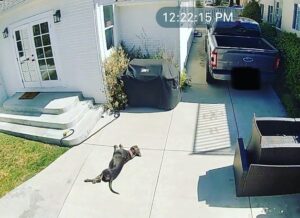 Rachel Nichols Instagram - #sunbather