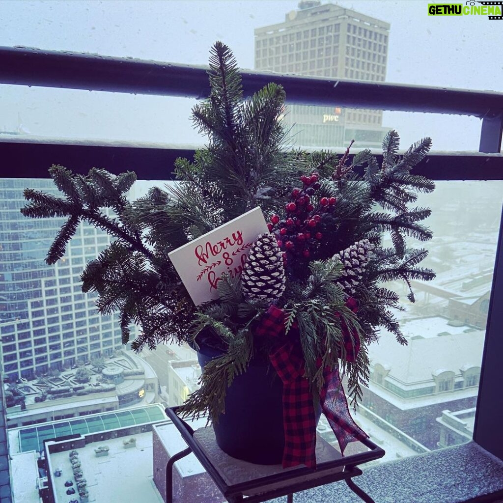Rachel Nichols Instagram - Merry Christmas…from snowy Vancouver! 🎄❤🎄❤🎄❤🎄❤🎄❤🎄❤🎄❤🎄❤🎄!