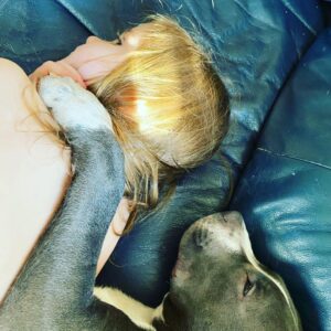 Rachel Nichols Instagram - This is Harper with Bleu. My niece and puppy nephew. They are best friends and my heart melts…

@hayleygenevievenichols
@hunterjamesnick