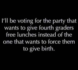 Rachel Nichols Instagram - I already voted and I voted for food for children over living in The Handmaid’s Tale. Call me crazy. 🤷🏼‍♀️. ROE ROE ROE YOUR VOTE!