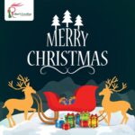 Rachna Banerjee Instagram - Rachna's Creation wishes everyone a Merry Christmas and Season's Greetings! #RachnasCreation @rachnabanerjee #merrychristmas #merry #merrychristmas🎄 #celebration #whitechristmas #seasons #seasonsgreetings #wintervibes #wintervibes❄️ #wintercollection #xmas #xmastime #cheer #joy #feliz #feliznavidad #santaclaus #december #25december #love #family #friends