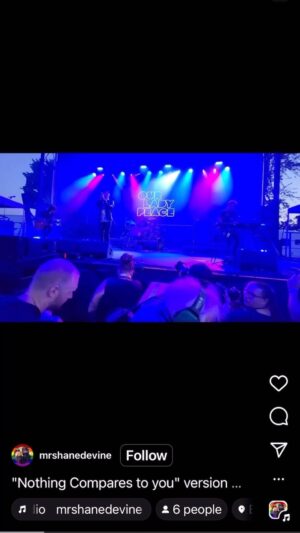 Raine Maida Instagram - Tribute to Sinèad last night