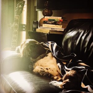 Raine Maida Instagram - Studio. vibes. #musicheals