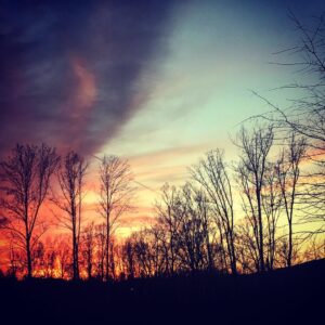 Randy Harrison Instagram - Sunset, Crozet Virginia. "There's a fire in the forest
It's taking down some trees
When things are overwhelming
I let them be"
David Sylvian