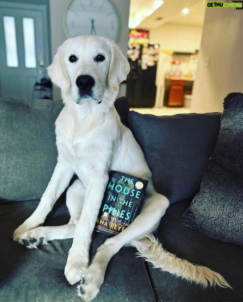 Reese Witherspoon Instagram - Happy #NationalDogDay! With #ReesesBarkClub... anything is paw-sible. 🐶🐾 ✨ 📸: @alfreads_books @shereadsonthebeach @pugsnpages @readingwithreesey @paws.and.read @books_wine_and_sunshine @charliebrounandliv @readbyraines @gissellereads