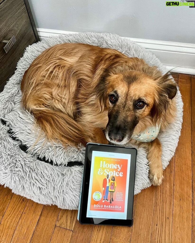 Reese Witherspoon Instagram - Happy #NationalDogDay! With #ReesesBarkClub... anything is paw-sible. 🐶🐾 ✨ 📸: @alfreads_books @shereadsonthebeach @pugsnpages @readingwithreesey @paws.and.read @books_wine_and_sunshine @charliebrounandliv @readbyraines @gissellereads