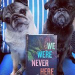 Reese Witherspoon Instagram – Happy #NationalDogDay! With #ReesesBarkClub… anything is paw-sible. 🐶🐾 ✨

📸:
@alfreads_books 
@shereadsonthebeach 
@pugsnpages 
@readingwithreesey 
@paws.and.read 
@books_wine_and_sunshine 
@charliebrounandliv 
@readbyraines 
@gissellereads