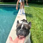 Reese Witherspoon Instagram - Summer so far 😊🏝️🍹🥰🌅