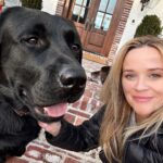 Reese Witherspoon Instagram - Holidays are just better with dogs ! Lots of dogs. 🐕‍🦺🦴❤️🎄Major+Minnie 🎁