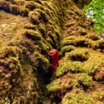Rich Webber Instagram - Moss life #happyfriday