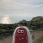 Rich Webber Instagram - Hair do #hairdont #coastlife #coast