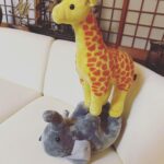 Ririsa Miyazaki Instagram - ばらかもん第9話ご視聴ありがとうございます。 見逃してしまった方は是非TVerでご覧ください☺︎ 動物園とっても楽しかったです✴︎✴︎ 先生の肩車はすごく高くてびっくりしたけど手を繋いでくれたので怖くなかったです！！ #ばらかもん #琴石なる役 #お気に入りのキリンとぞう