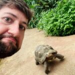Robin Blase Instagram - Werbung – Die Highlights aus dem Urlaub. Wir waren in Lissabon und Barcelona, es war wunderschön ❤️. Es gab Strand, es gab vegane Pastel de Nata, es gab Drinks aus einer Ananas, es gab Eis, Kokosnuss, es gab Selfies mit Schildkröten, und es gab mich immer mit dem Rucksack vor der Brust, damit ich nicht beklaut werde. Immer auf Reisen mit dabei: Die @sparkasse Kreditkarte Gold. Ich fühle mich da sicherer mit dem Reiseversicherungspaket, dem Reisenotfall-Service, dem Bargeld-Notfallservice und und und. Eine meiner größten Sorgen ist, in einem fremden Land ohne irgendwas dazustehen – weil ich auch Leute kennen, denen genau das passiert ist. Fun Fact: Man kann wohl in der Botschaft keinen Ersatzausweis kriegen, ohne rund 20€ dabei zu haben 😃 – ist Geld und Ausweis weg, wird’s schwieriger. Also Kreditkarte Gold & der Rucksacktrick und dann fühl ich mich sicher 😃 #kreditkartegold #Sparkasse #banking #sicherreisen