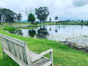 Rodger Corser Instagram - #mudgee #sunday