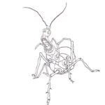 Rodrigo Goulão de Sousa Instagram - Giant insect in the woods- Trying to do some horror themed animations #animation #drawing #digitalart #cartoon #2danimation #after #characterdesign #art #cg #horror #horrormovies #creepy #scary