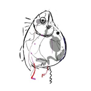 Rodrigo Goulão de Sousa Instagram - Transparent fish

#animation #drawing #digitalart #cartoon #2danimation #after #characterdesign #art
