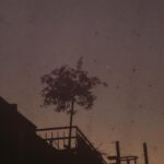 Rona Özkan Instagram - „Gute Nacht” sagte die Sonne vor dem Schlafengehen und gab dem Himmel einen Kuss, der ihn erröten ließ.