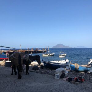 Rosa Diletta Rossi Instagram - Alicudi 
Capperi e scale 
Vista mare coi piedi a monte 

#alicudi #isolata #ammare