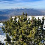 Rosa Diletta Rossi Instagram - 🏔️ In montagna non sono nata Mi faceva paura e desiderio Guardavo le vette con lo stupore dei bambini che col dito indicano la punta e dicono “voglio andare lì”. In montagna non sono cresciuta Avrei voluto avere ricordi di silenzi e salite La mia montagna è arrivata da grande Uno scarpone alla volta Le vette fanno meno paura La salita fa fatica, tanta. Bella! Piena di meraviglia Ora quando arrivo in vetta punto il dito e dico : “Sono qui” La mia bambina è salva, ride e si stupisce. Auguro a voi tutti di trovare le vostre montagne!