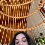 Rosalía Instagram - Bouquet de baguettes🎀🥖🥨