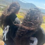 Rosalía Instagram - COACHELLA THANK YOU SO MUCHHHHHHHHH💞💞💞!!!!!!!! Coachella, California